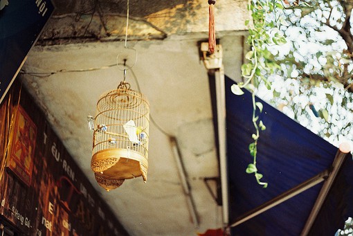 抢到手捧花朋友圈说说