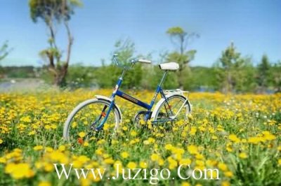 ​简短低调秀恩爱句子晒幸福的说说