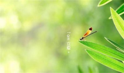 ​詹姆斯说过的最经典的话 詹姆斯名字艺术签名