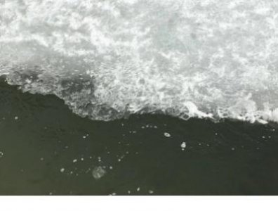 ​霸气女生个性说说大全 适合单身的个性签名