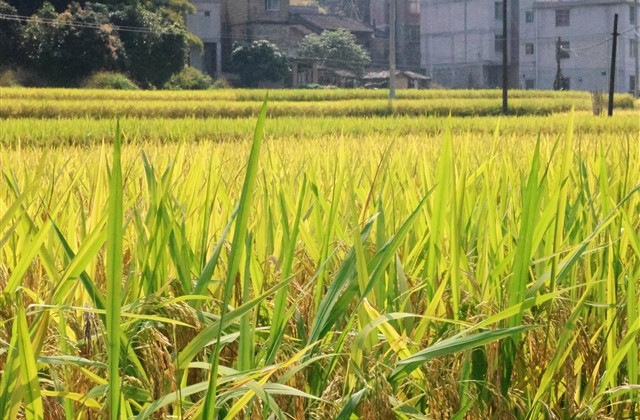 搞笑用户名昵称大全