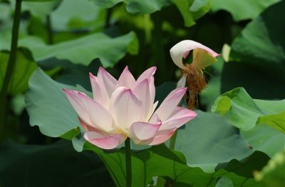 ​霸气的繁体字qq网名(精选154个)