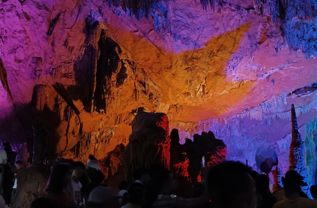 很绿茶的女生名字(精选88个)