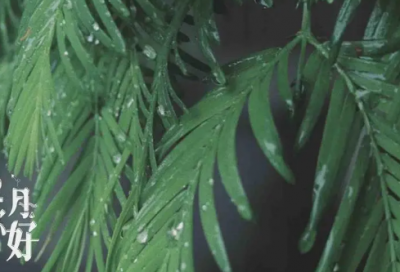 ​这样爱你qq网名大全