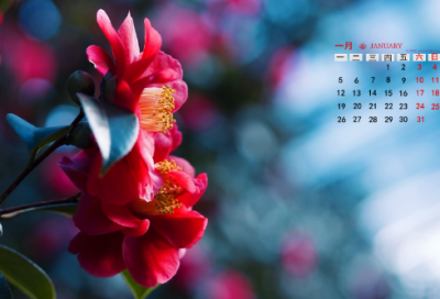 ​好听记忆深刻的名字(优选77个)