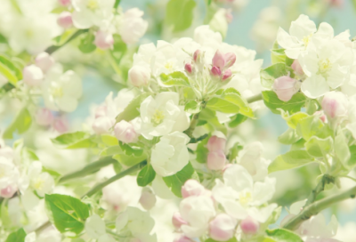 ​贱名好养活的名字(精选68个)