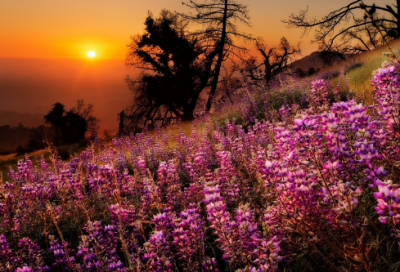 ​超级好看的特殊符号网名(61个)