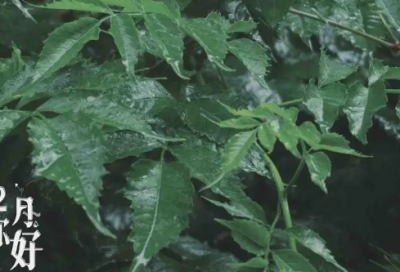 ​适合火影迷的昵称