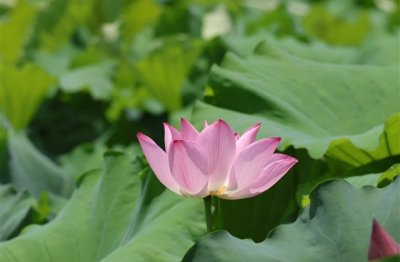 ​三个字网名女生简单气质大全(803个)