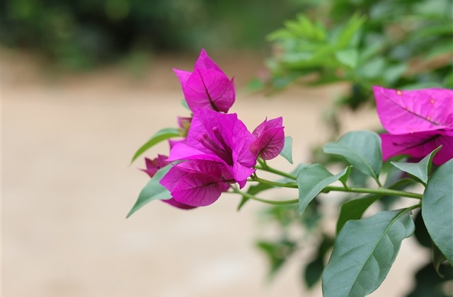 游戏好看的名字大全