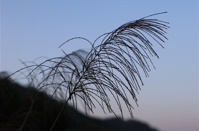 游戏好看的名字大全