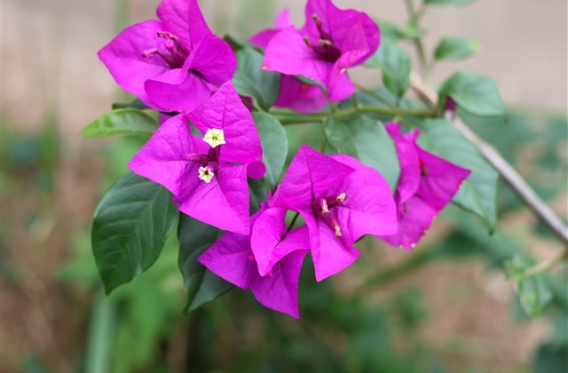 游戏好看的名字大全