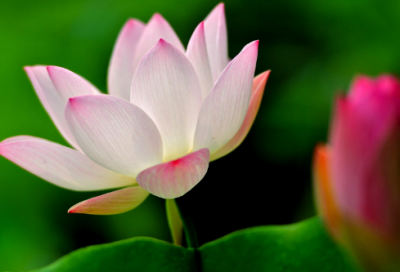 ​故事会有创意的名字(精选66个)