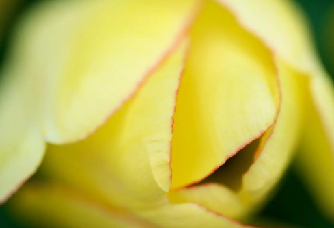 1692989898535444.png image.png