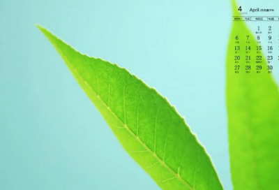 ​文艺好听优美的小清新网名(共60个)