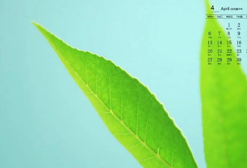 1692990063129736.png image.png