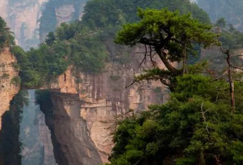 1692990395991021.png image.png