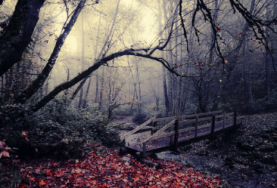 ​关于头疼的说说心情 头痛难受的心情说说(精选40句)