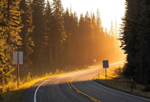 1702258975236233.png image.png