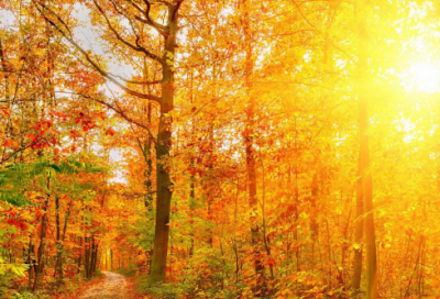 ​心情失落不好的句子,形容心情很差的句子(精选50句)