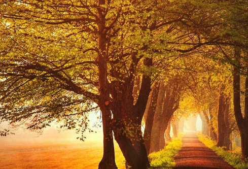 1702257485632074.png image.png