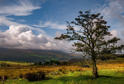 1702257982863656.png image.png