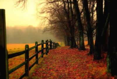 ​心情美美哒晚安的说说 好心情晚安说说短句(精选30句)