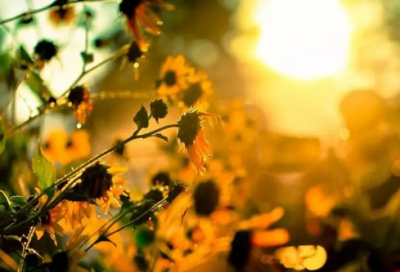 ​关于晚上的朋友圈句子心情短语大全（精选）