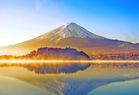 1711039583356723.png image.png