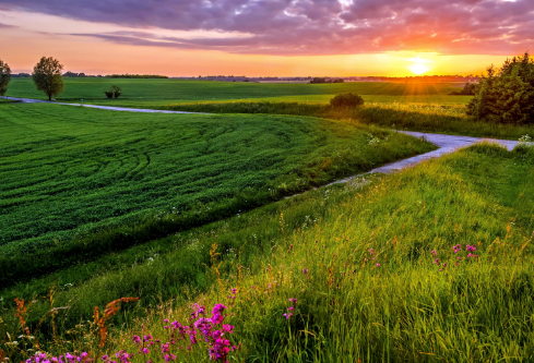 1711036095232756.png image.png