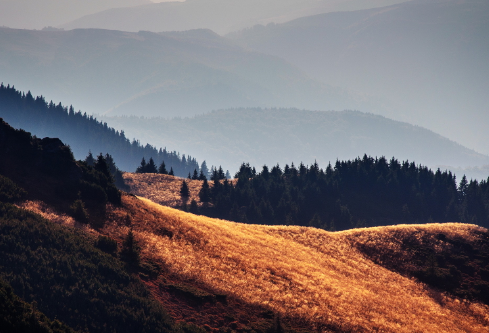 1711052212122378.png image.png