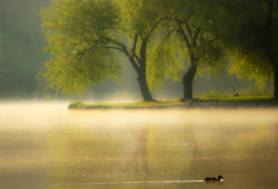 ​愿生活多点甜的句子 生活多点甜多点阳光的心情说说（精选）