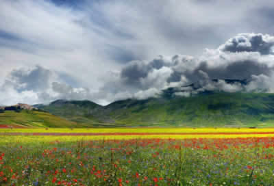 ​错误的选择后悔的句子 自己做了个最错误的选择的心情说说（精选）