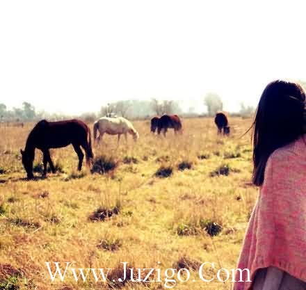 关于爱情的人生格言81句