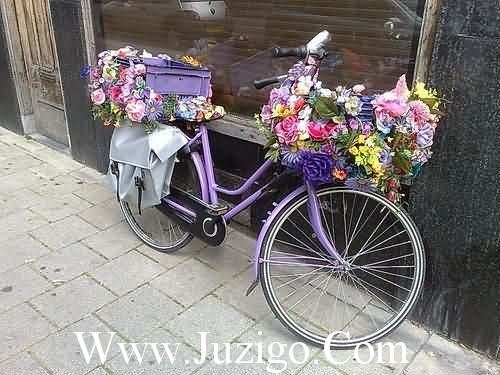 描写校园爱情71句