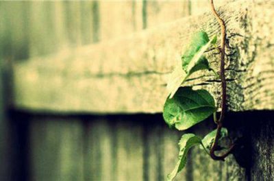 ​经典的爱情句子92句