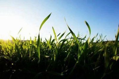 ​最新优美的短句子