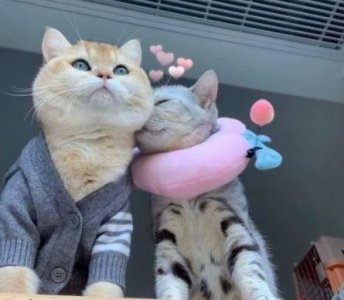 ​毕业留言优美句子友情