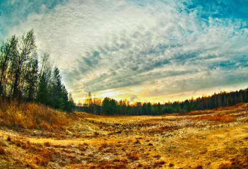 1702286960936307.png image.png