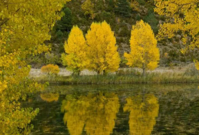 ​逗女朋友开心的句子说说心情(精选39句)