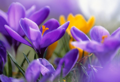 ​发表说说的暖心情话 发表吃饭的说说心情(精选50句)