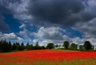 ​关于亲人不在了感慨句子 亲人离去的心情感慨
