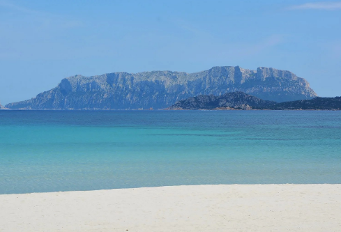 1711077795524846.png image.png