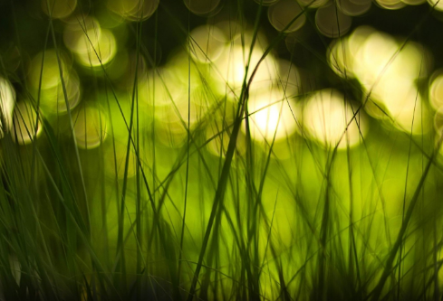 1711080786689879.png image.png