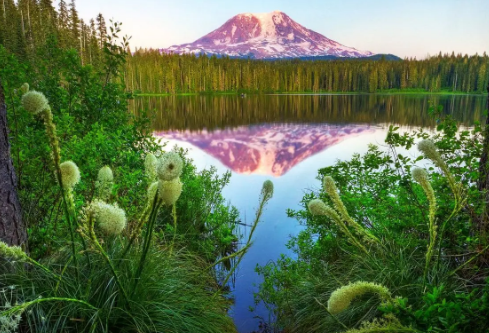 1711075636888162.png image.png