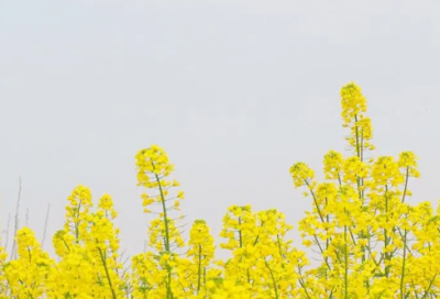 ​关于清晨一个人的说说心情短语大全（精选）