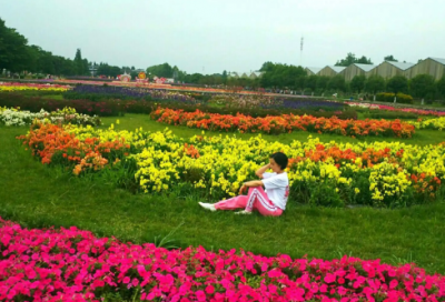 ​心情无法形容的说说（精选推荐）