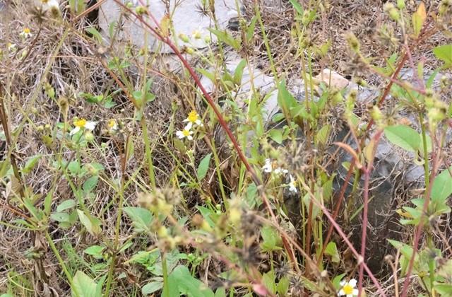 为病人祈祷康复的句子