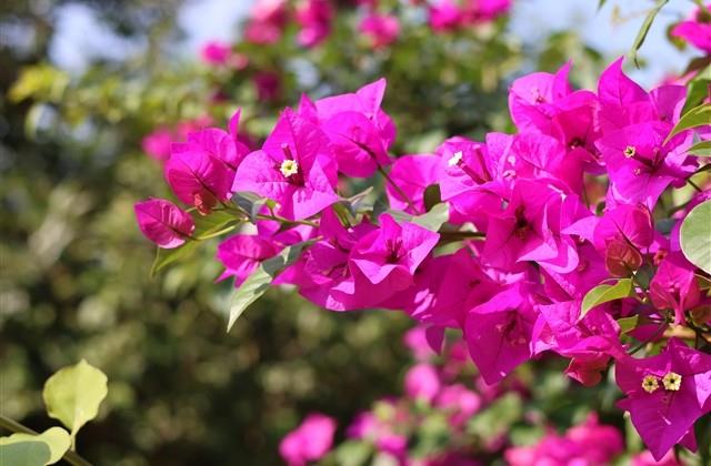 情人节走心文案短句 情人节走心文案短句