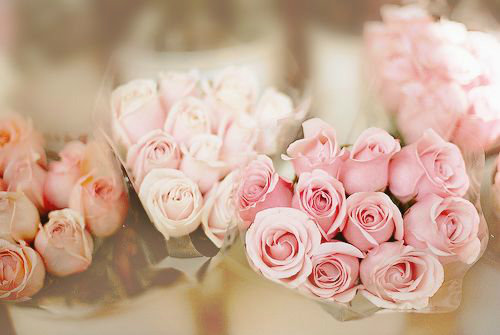 祝贺2026年的经典短信104句